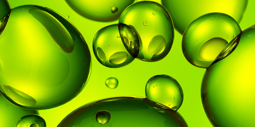 Felicità sostenibile: dipende da noi