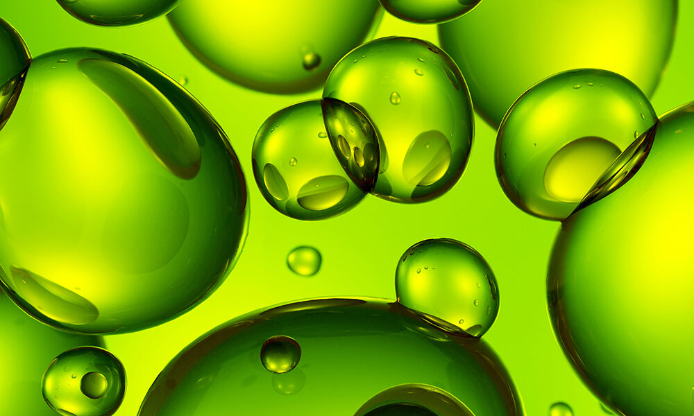 Felicità sostenibile: dipende da noi