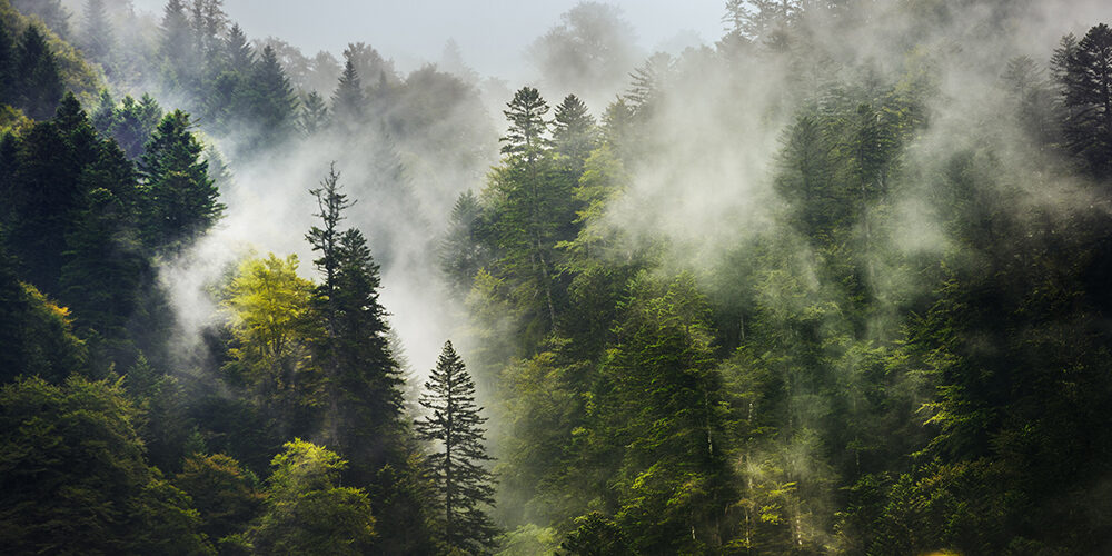 Più natura uguale meno cibo?