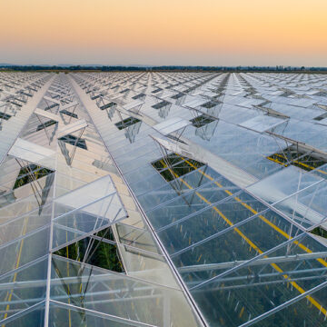 Felicità sostenibile: la dieta che salva te e il pianeta