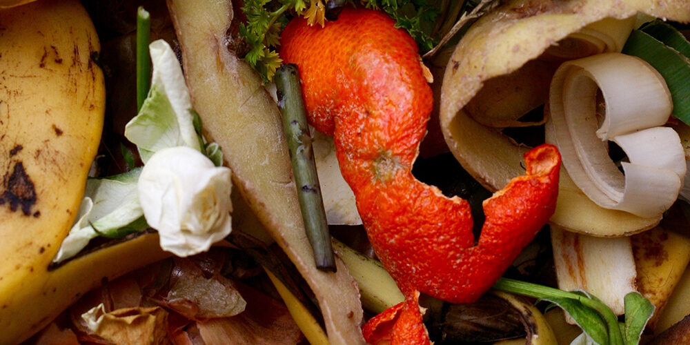 Biowaste: perché l’Italia frena