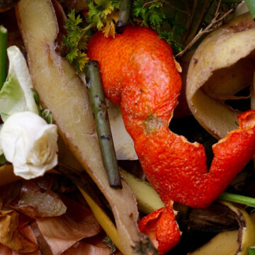 Biowaste: perché l’Italia frena