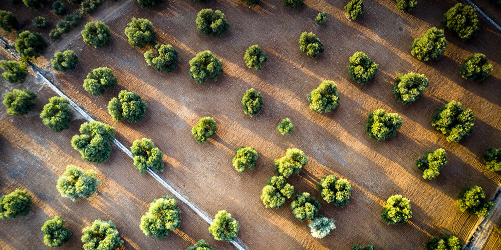 Life ADA: 38mila agricoltori pronti ad affrontare i rischi climatici