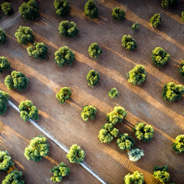 Life ADA: 38mila agricoltori pronti ad affrontare i rischi climatici