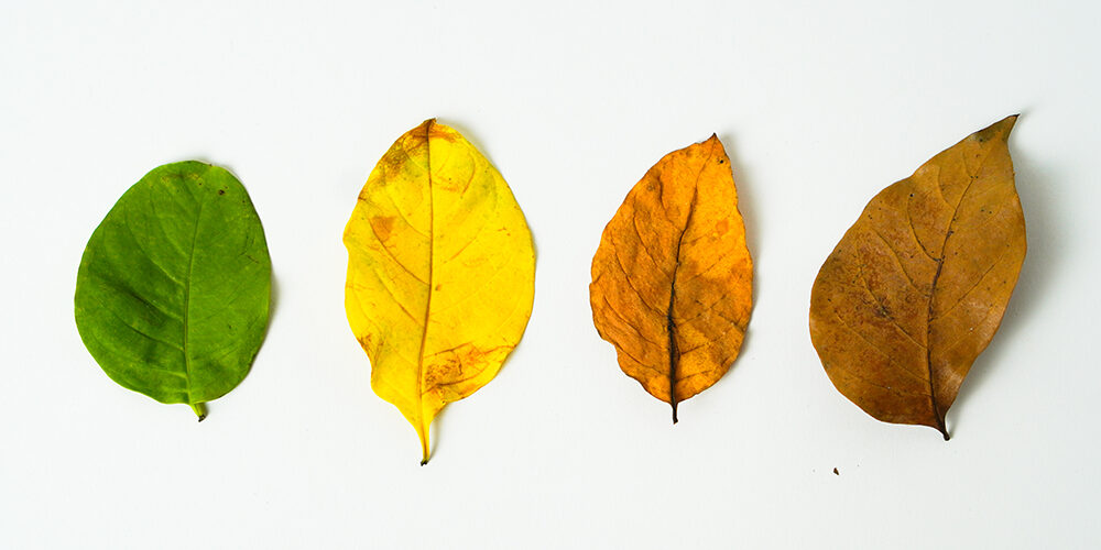 Welfare: le sfide dell’inverno demografico