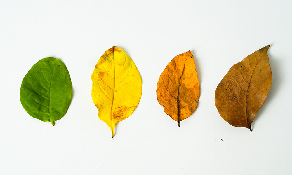 Welfare: le sfide dell’inverno demografico