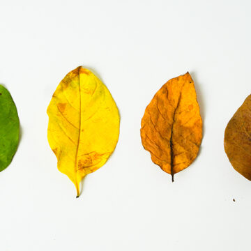 Welfare: le sfide dell’inverno demografico