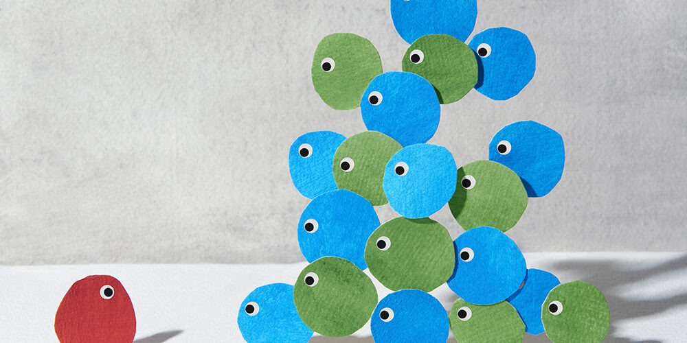 Bullismo e cyberbullismo: dal dolore alla rinascita