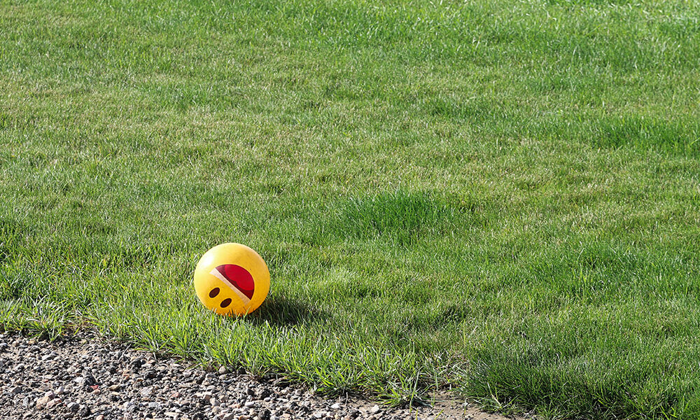 Tutti a scuola di felicità