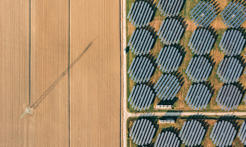 Il Regno Unito abbandonerà la transizione verde?