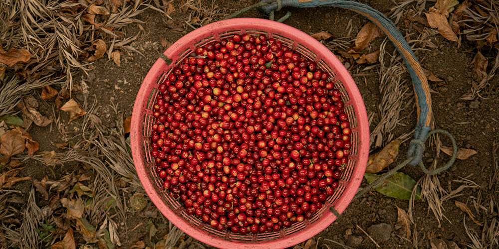 Che cos’è il consumo critico