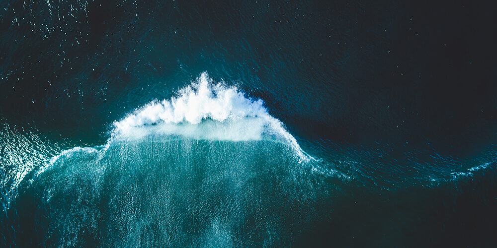 Dieci azioni quotidiane per proteggere il mare