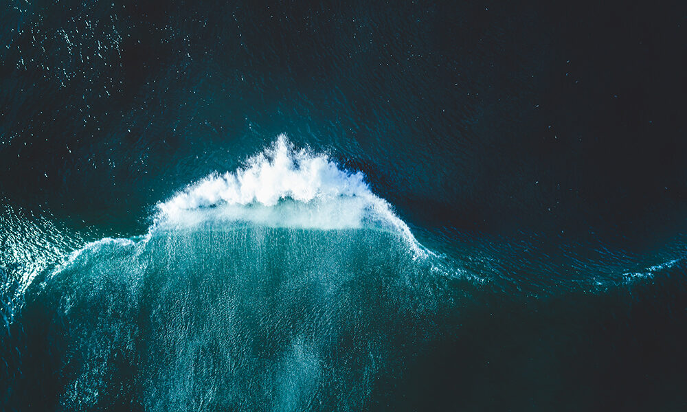 Dieci azioni quotidiane per proteggere il mare