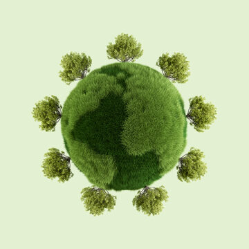 Eco ansia: cos’è e cosa fare