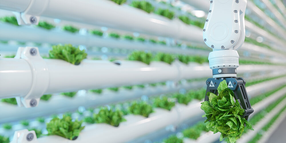 Automazione del lavoro: nuove professioni o estinzione dei lavoratori?