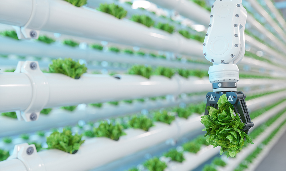 Automazione del lavoro: nuove professioni o estinzione dei lavoratori?