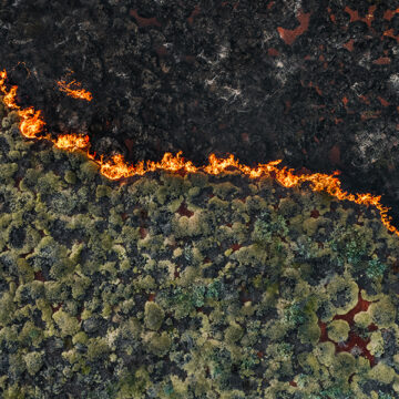 I 5 maggiori disastri ambientali causati dall’uomo