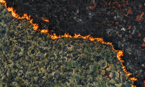I 5 maggiori disastri ambientali causati dall’uomo