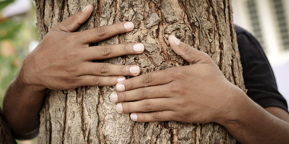 L’abbraccio che cambiò il mondo: la rivoluzione dell’ecofemminismo