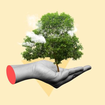 Sostenibile conviene (ancora)