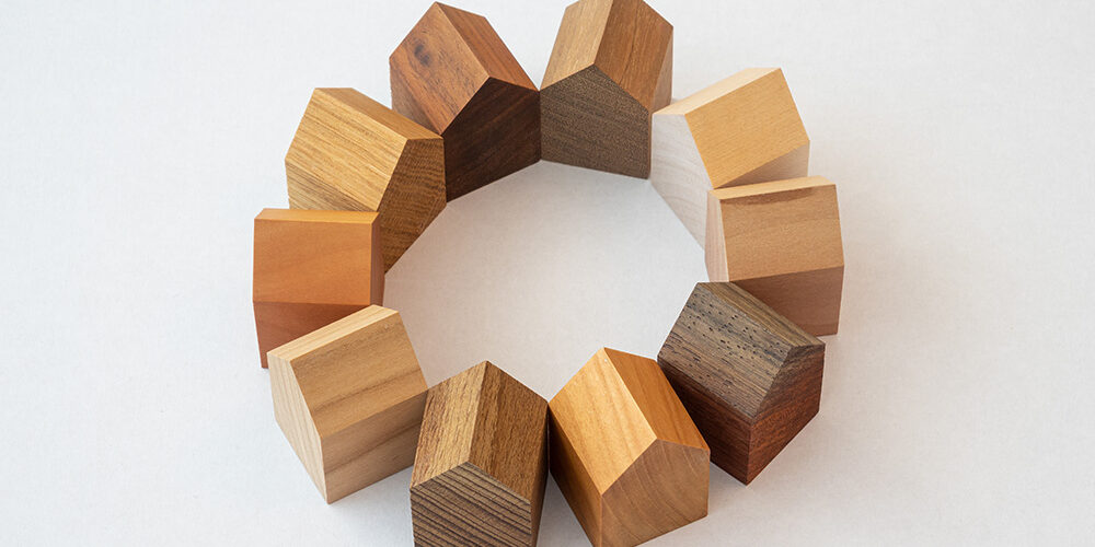 Cohousing: vivere insieme in modo sostenibile