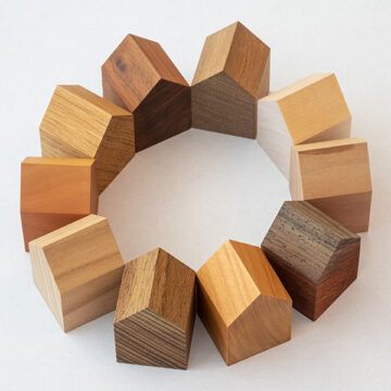 Cohousing: vivere insieme in modo sostenibile