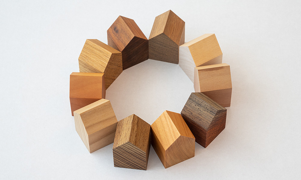 Cohousing: vivere insieme in modo sostenibile