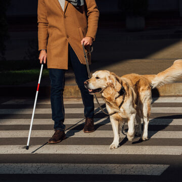 Abilismo: riconoscerlo per cambiare prospettiva