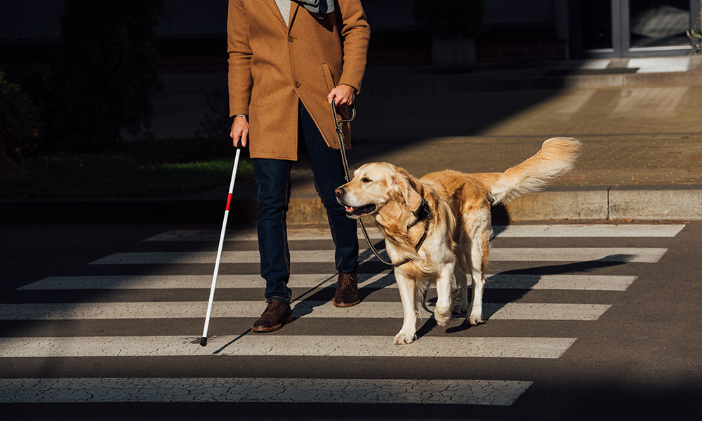 Abilismo: riconoscerlo per cambiare prospettiva