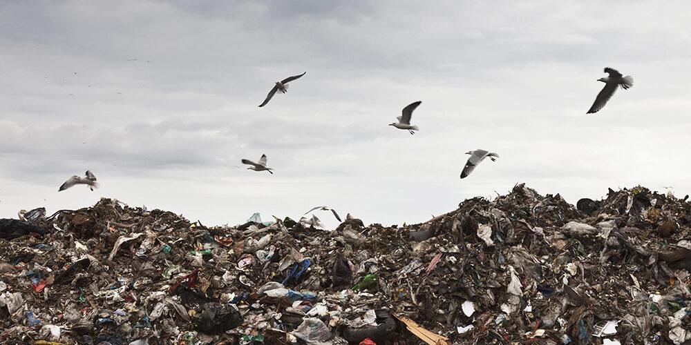 Intelligenza artificiale e bonifiche ambientali: come i modelli predittivi accelerano sicurezza e sostenibilità