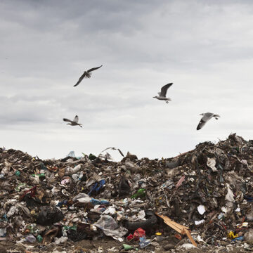 Intelligenza artificiale e bonifiche ambientali: come i modelli predittivi accelerano sicurezza e sostenibilità