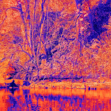 Rifugi climatici: come le città si difendono dal caldo killer