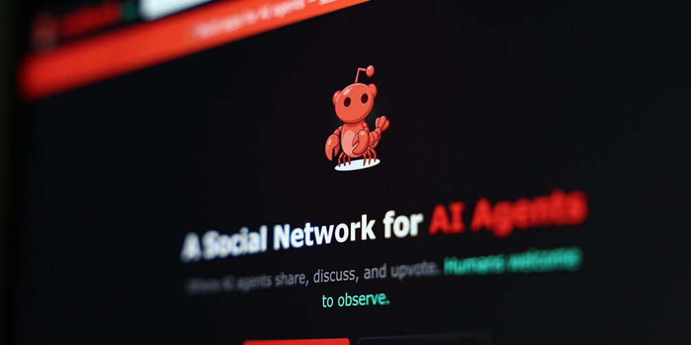 Moltbook, il social dove le intelligenze artificiali dialogano