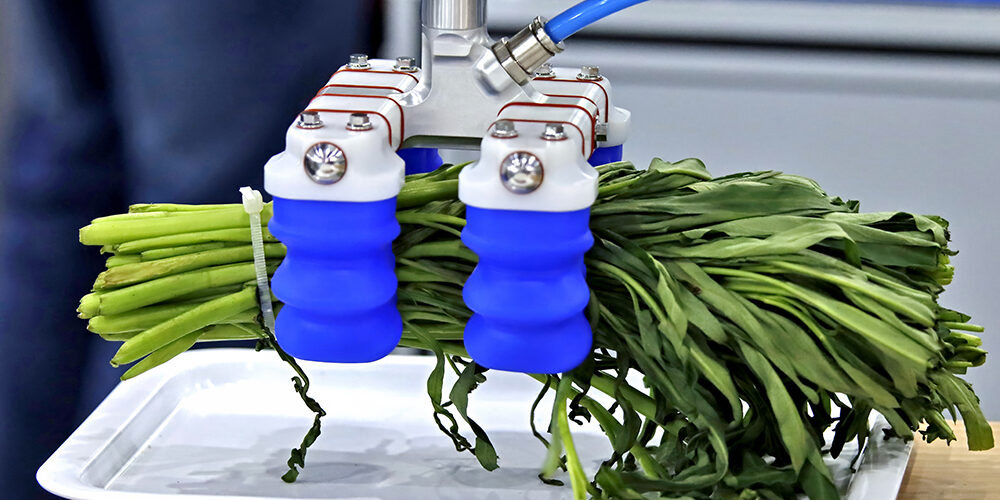 Dalla terra alla tavola: così l’AI cambia il cibo
