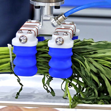 Dalla terra alla tavola: così l’AI cambia il cibo