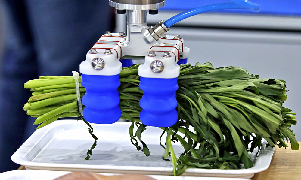 Dalla terra alla tavola: così l’AI cambia il cibo